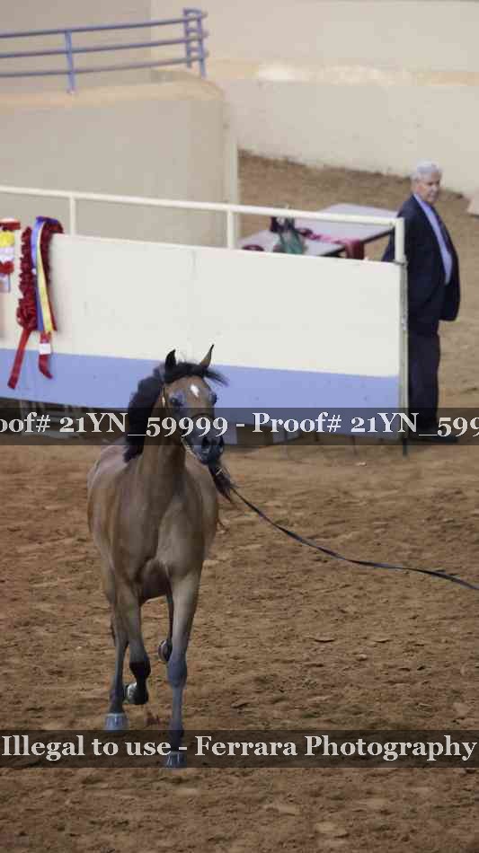Proof 21YN_59999