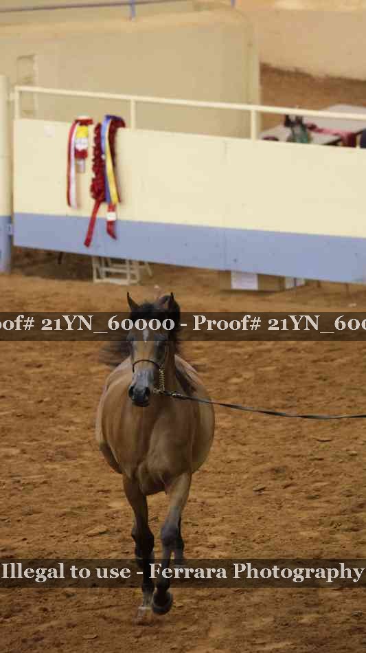 Proof 21YN_60000