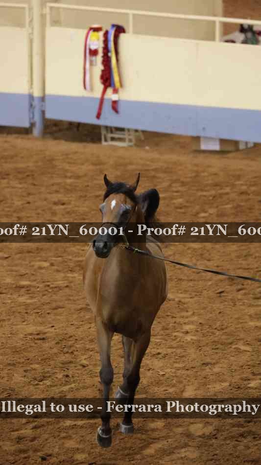 Proof 21YN_60001