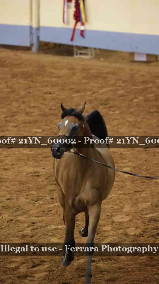 Proof 21YN_60002