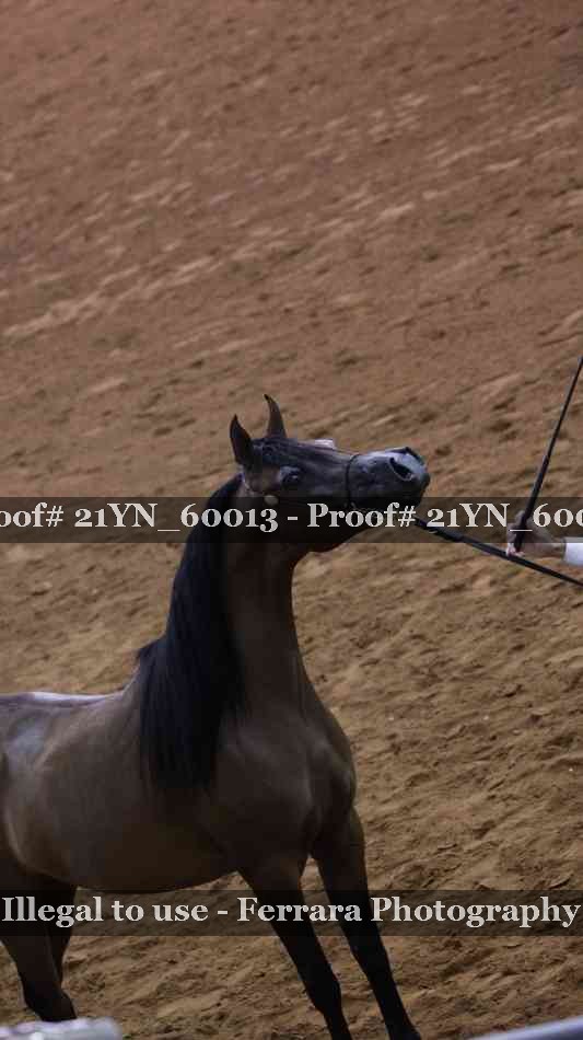 Proof 21YN_60013