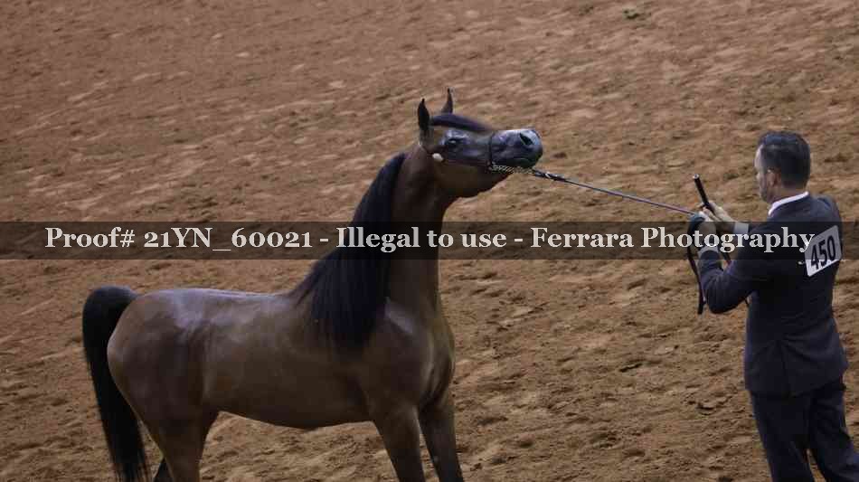 Proof 21YN_60021