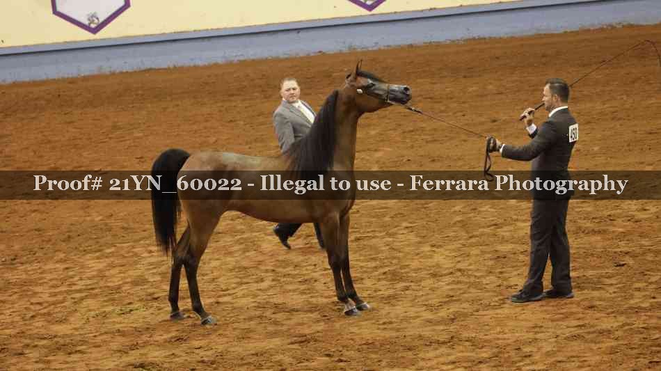 Proof 21YN_60022