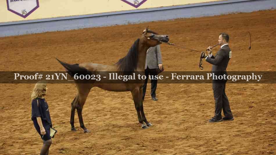 Proof 21YN_60023