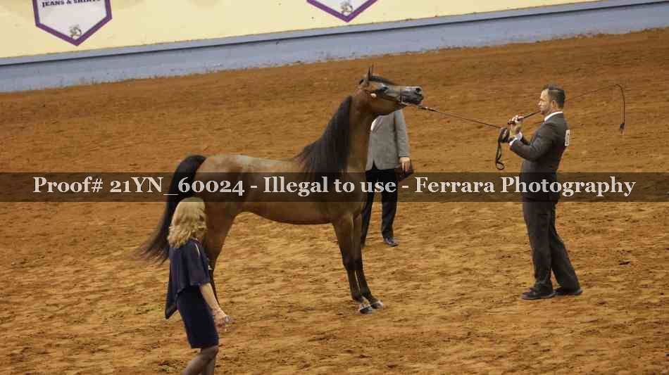 Proof 21YN_60024
