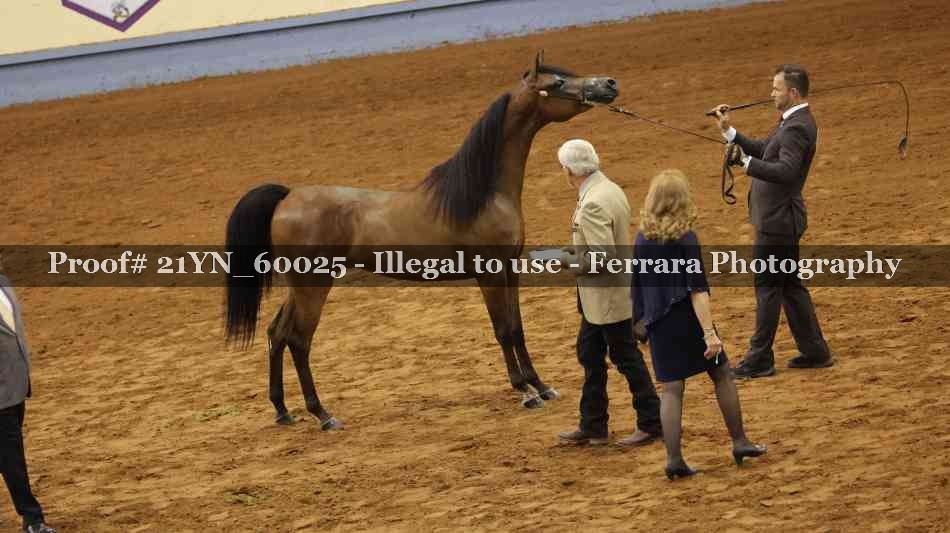 Proof 21YN_60025