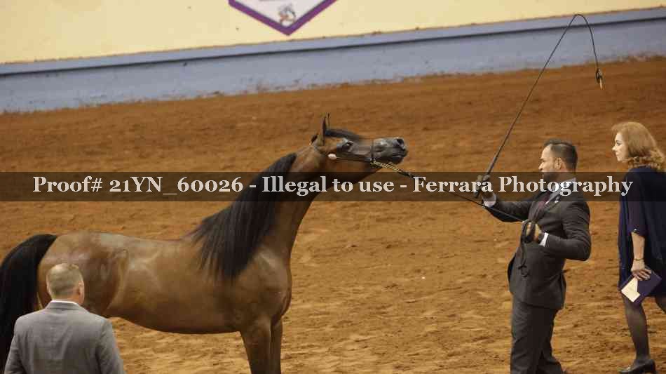 Proof 21YN_60026
