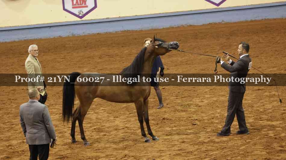 Proof 21YN_60027
