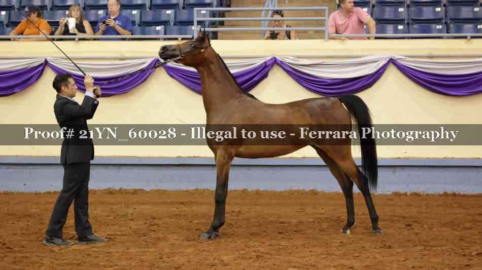 Proof 21YN_60028