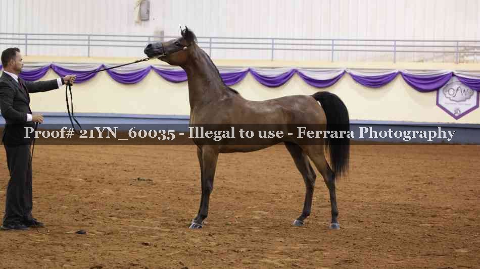 Proof 21YN_60035