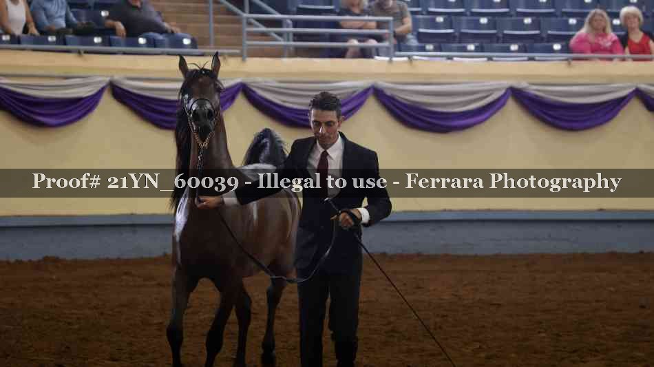 Proof 21YN_60039