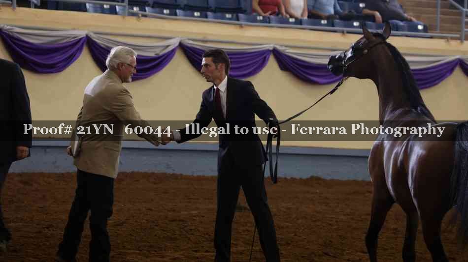 Proof 21YN_60044