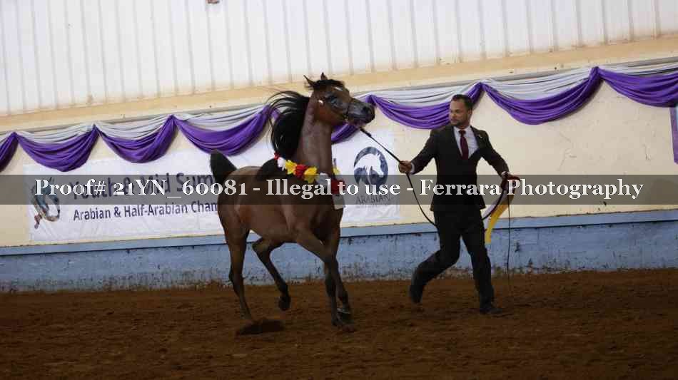 Proof 21YN_60081