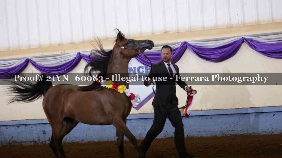 Proof 21YN_60083