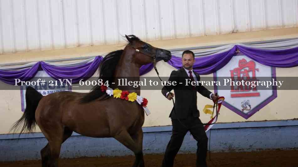 Proof 21YN_60084