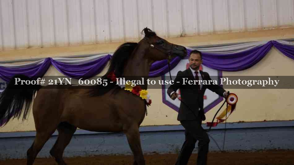 Proof 21YN_60085