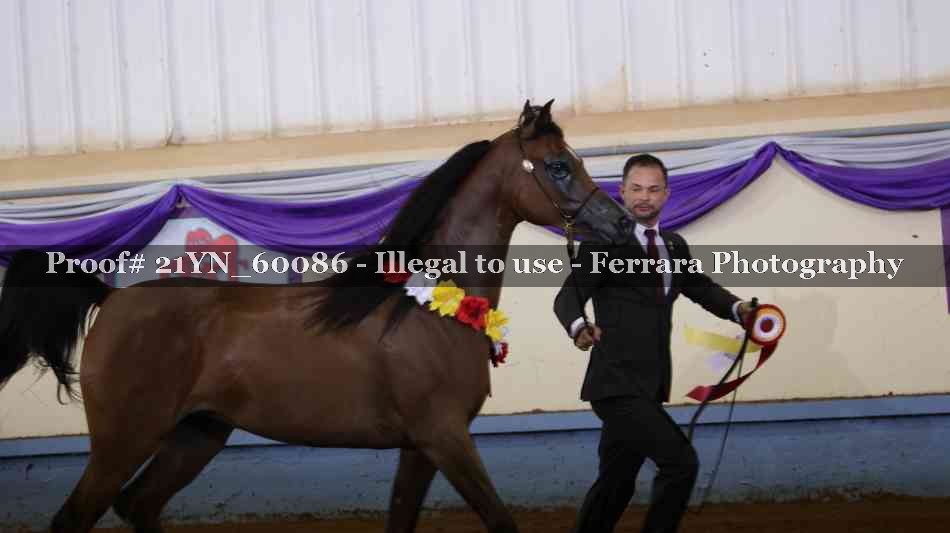 Proof 21YN_60086