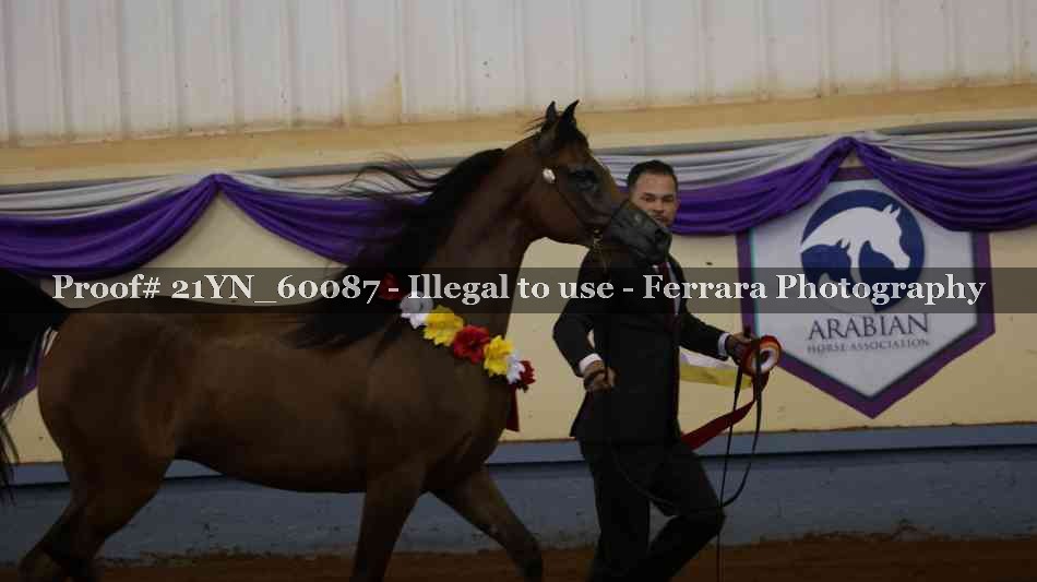 Proof 21YN_60087