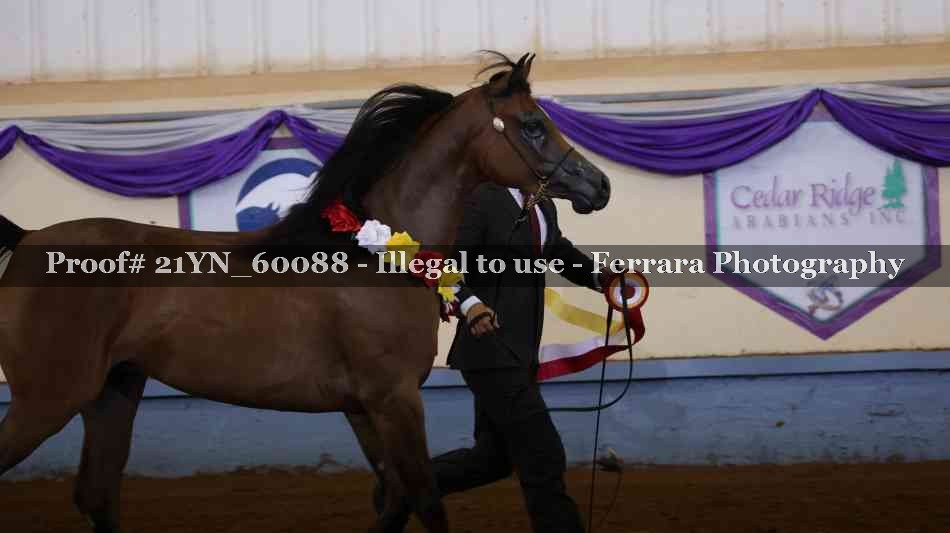 Proof 21YN_60088