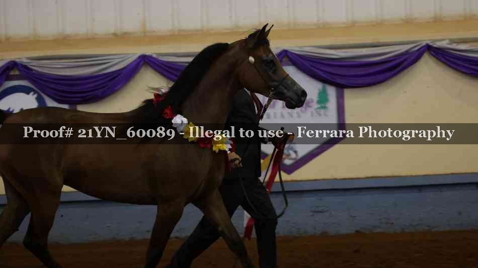 Proof 21YN_60089