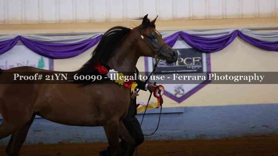 Proof 21YN_60090