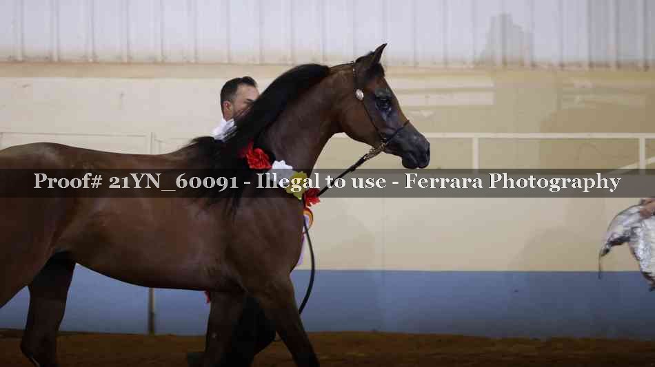 Proof 21YN_60091