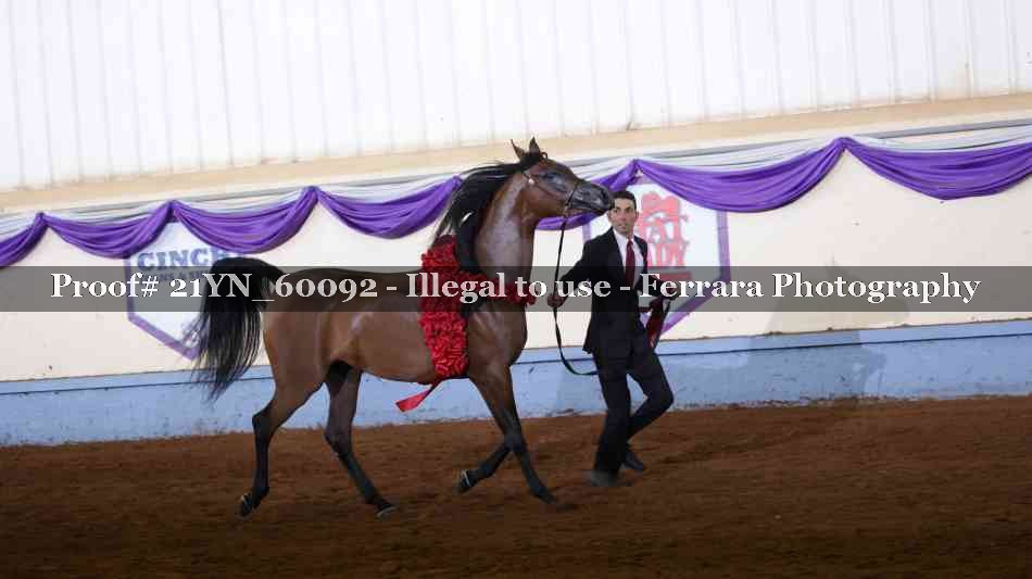Proof 21YN_60092