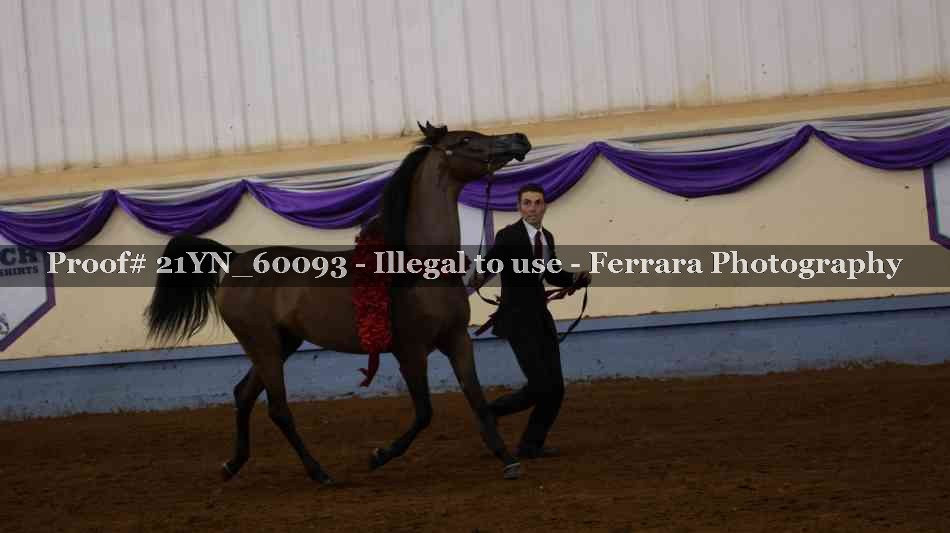 Proof 21YN_60093