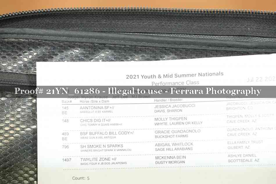 Proof 21YN_61286