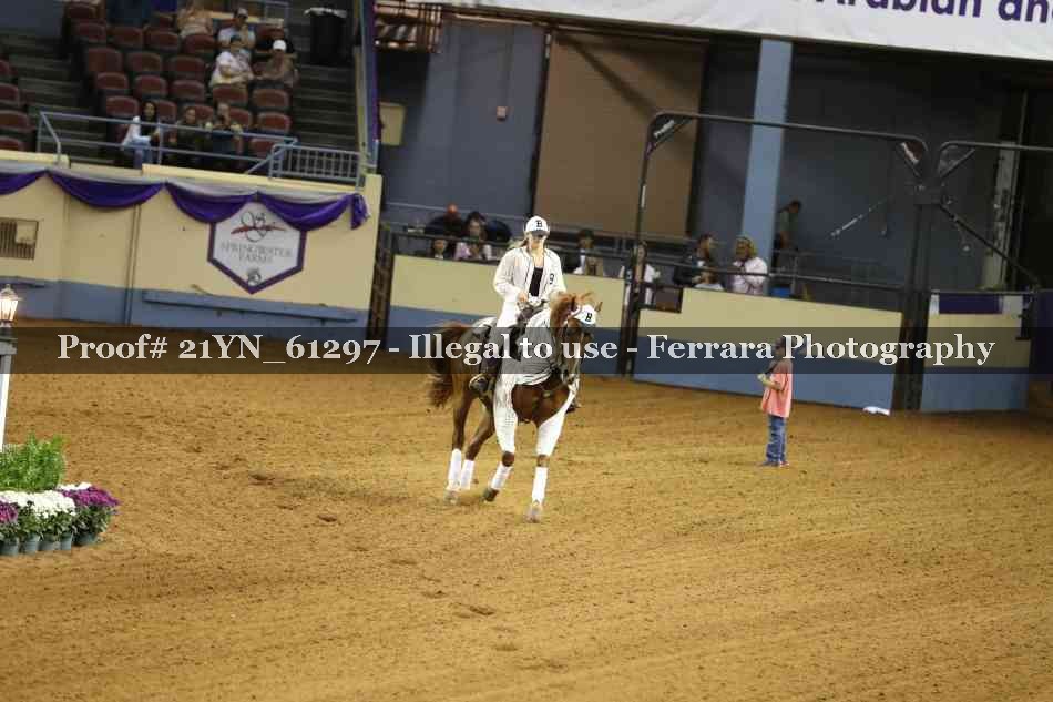 Proof 21YN_61297