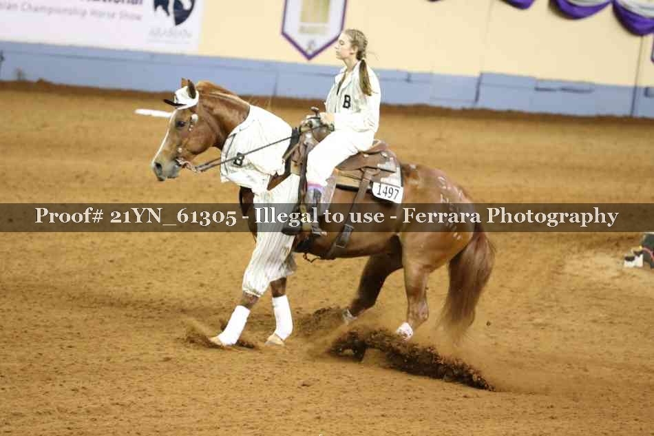 Proof 21YN_61305