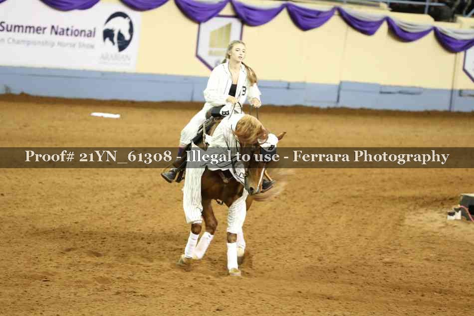 Proof 21YN_61308