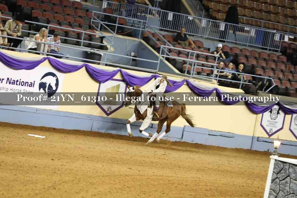 Proof 21YN_61310