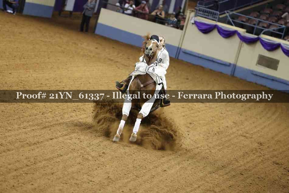 Proof 21YN_61337
