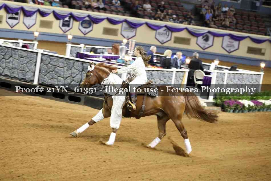 Proof 21YN_61351