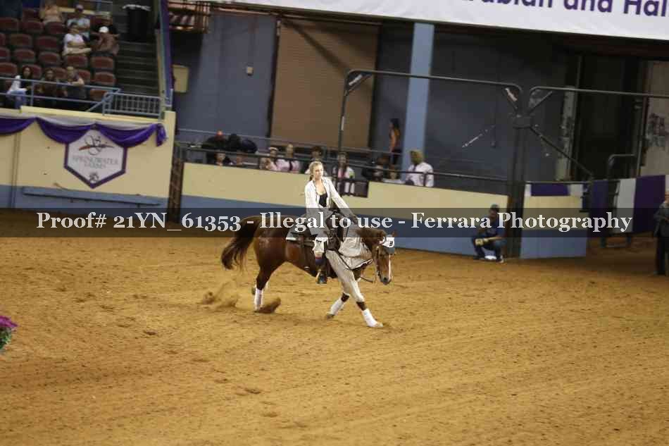 Proof 21YN_61353