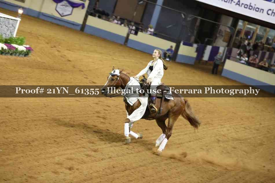 Proof 21YN_61355