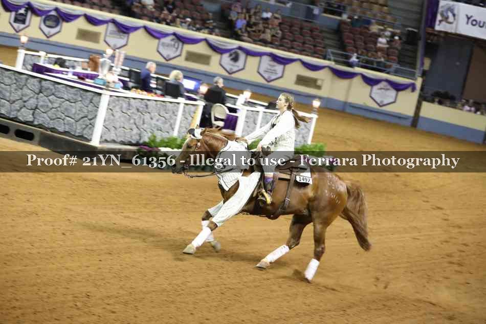 Proof 21YN_61356