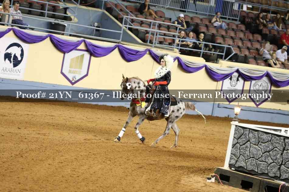 Proof 21YN_61367