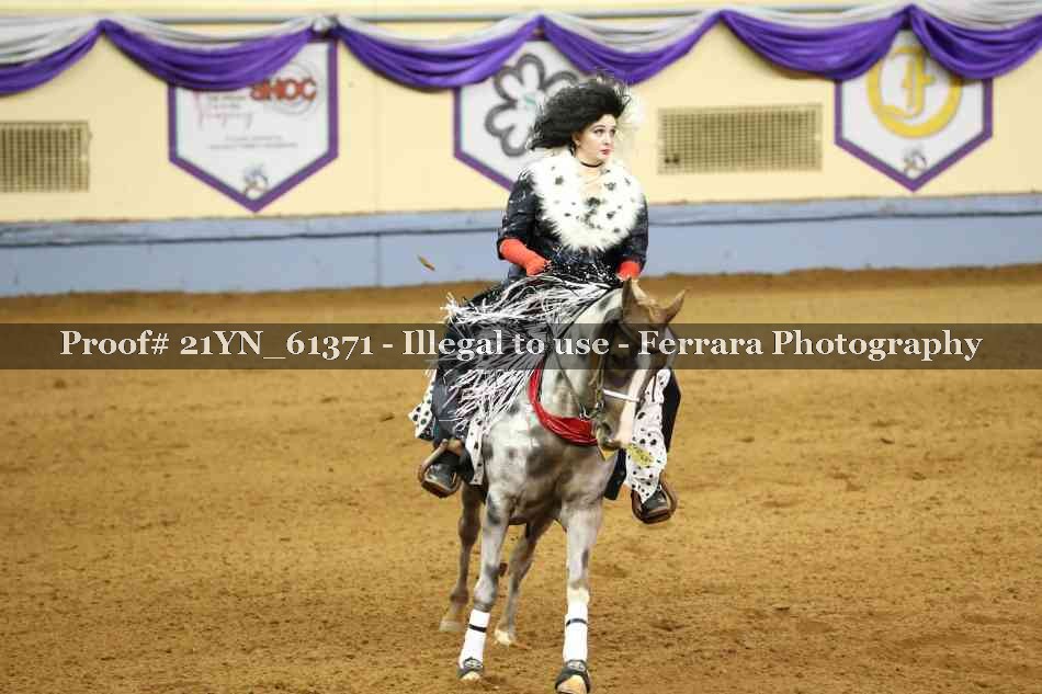 Proof 21YN_61371