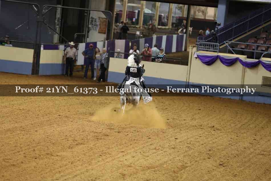 Proof 21YN_61373