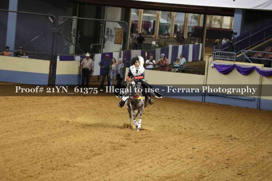 Proof 21YN_61375