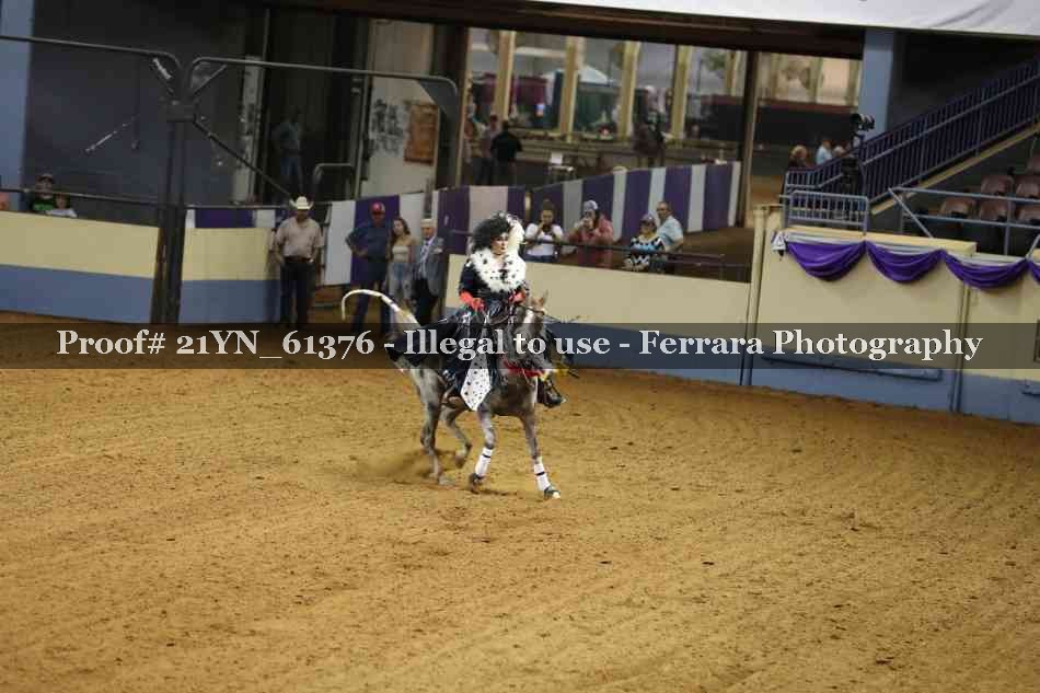 Proof 21YN_61376