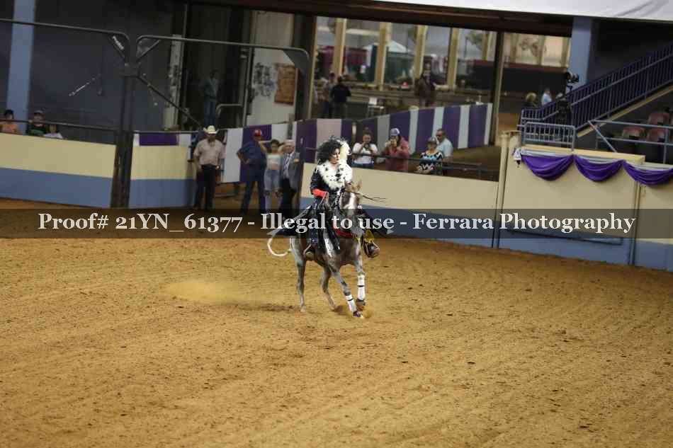 Proof 21YN_61377