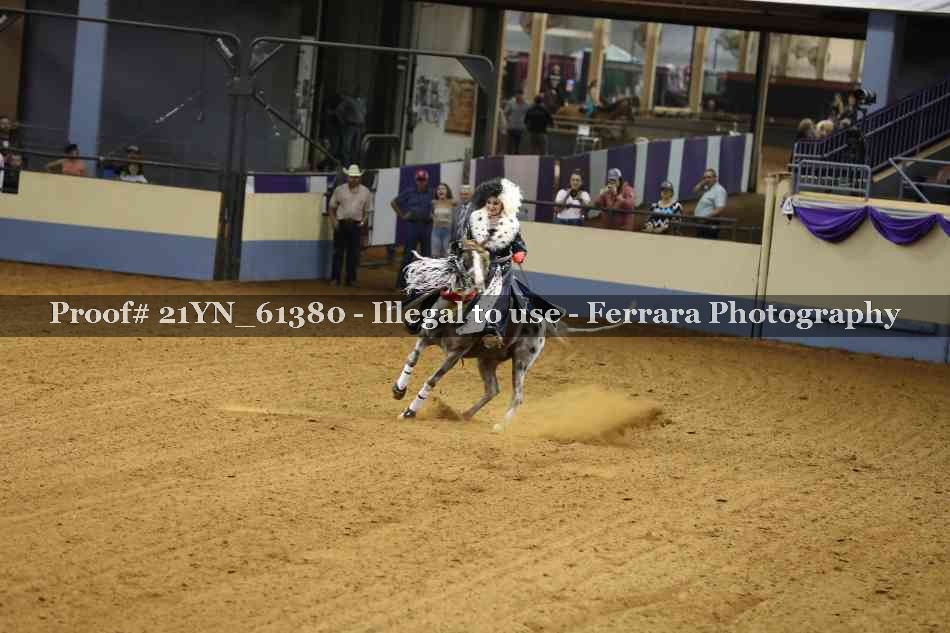 Proof 21YN_61380