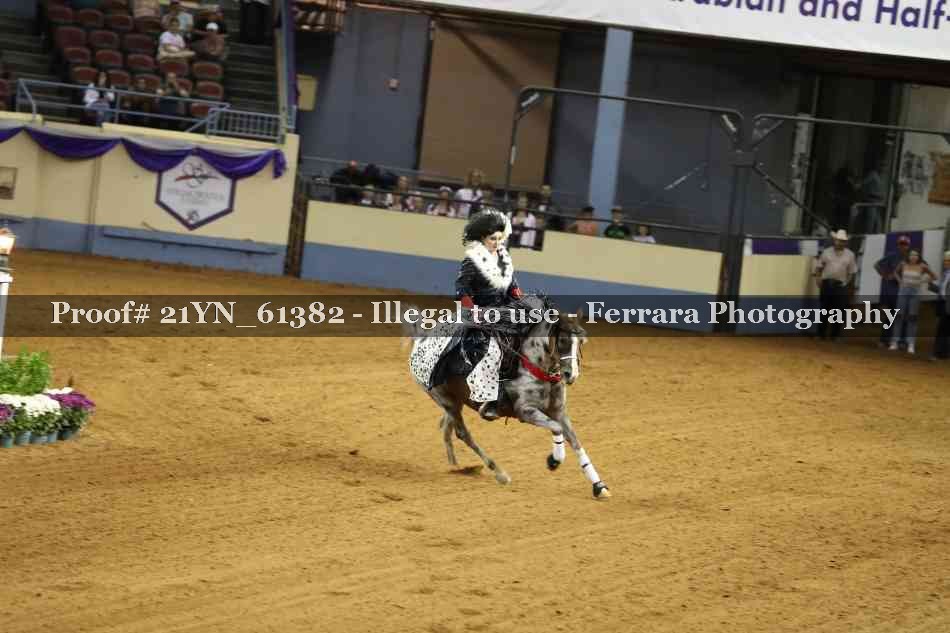 Proof 21YN_61382