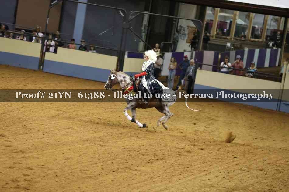 Proof 21YN_61388