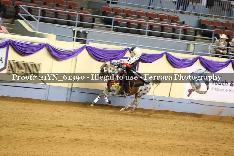 Proof 21YN_61390