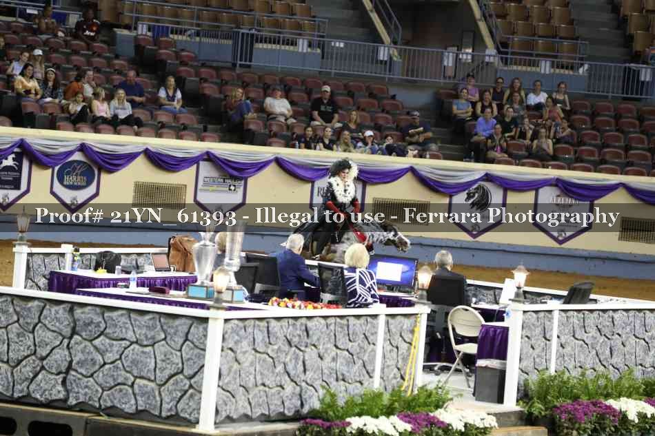 Proof 21YN_61393