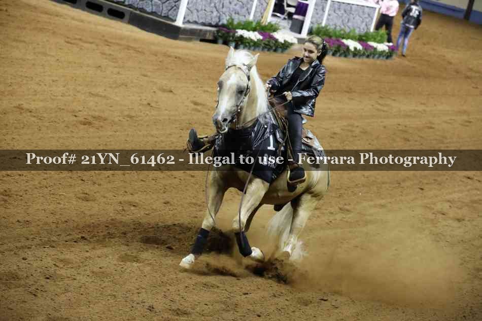 Proof 21YN_61462